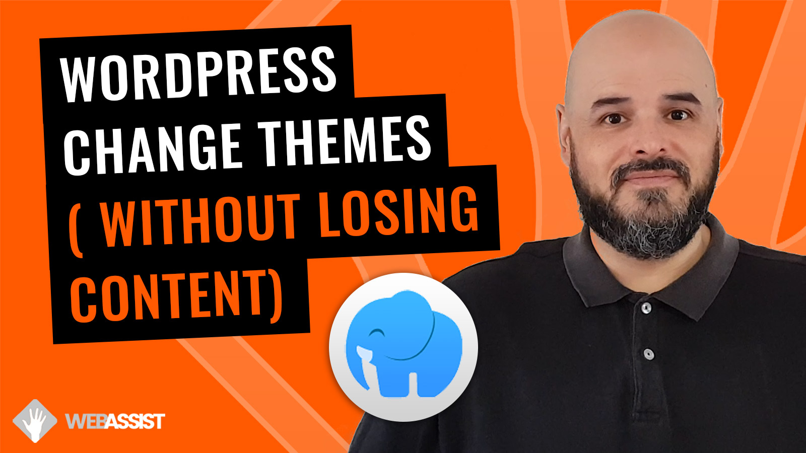 Change your WordPress Theme